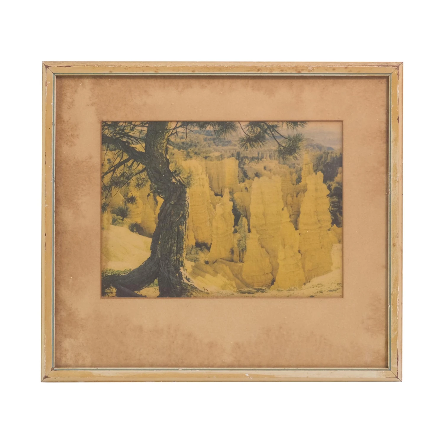 1940s Bryce Canyon National Park Framed Photograph 3 1940s Bryce Canyon National Park Framed Photograph