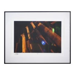 Curtis Salonick Architectural Gothic Columns Steel Framed Photograph