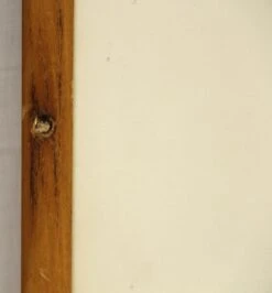 Portrait Of Woman In Costume 8 Portrait Of Woman In Costume -OGT Sale Store photographs for sale m225599