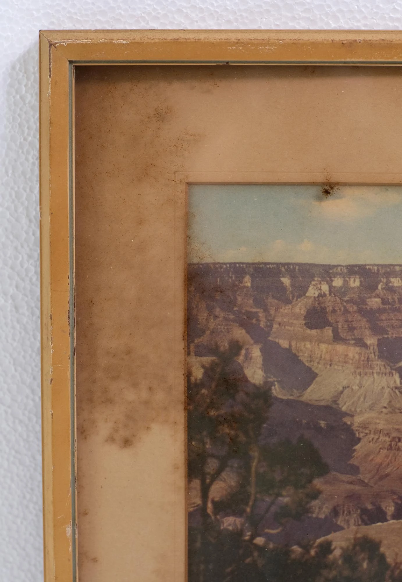 1940s Grand Canyon Arizona Framed Photograph 5 1940s Grand Canyon Arizona Framed Photograph - Image 3