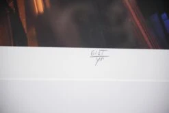 Curtis Salonick Architectural Gothic Columns Steel Framed Photograph -OGT Sale Store photographs for sale q282731