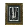 Framed Photograph Of Feet Signed By Vladimir Clavijo Russian Photographer 1 Framed Photograph Of Feet Signed By Vladimir Clavijo Russian Photographer -OGT Sale Store photographs framed photograph of feet signed by vladimir clavijo russian photographer q284750
