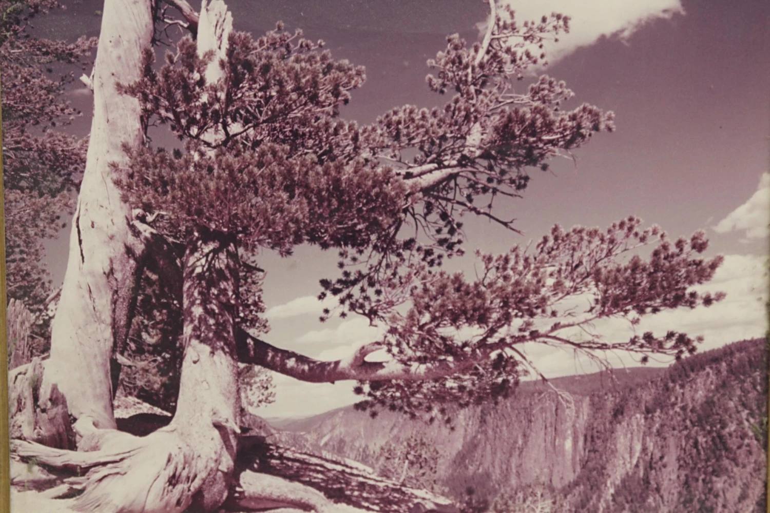 Ornately Scenic Framed Purple Hue Photo 4 Ornately Scenic Framed Purple Hue Photo - Image 2