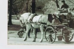 Black & White Framed Photo Print Of A Buggy In New York City 9 Black & White Framed Photo Print Of A Buggy In New York City -OGT Sale Store photographs q276616