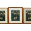 Set Of Custom Framed Matted Spider Lillies Photographs 2 Set Of Custom Framed Matted Spider Lillies Photographs -OGT Sale Store photographs set of custom framed matted spider lillies photographs q285512