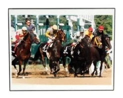 Vintage Framed Horse Racing Photo