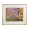 Large Framed Photograph Or Poster Of Autumn Foliage -OGT Sale Store posters large framed photograph or poster of autumn foliage q279022