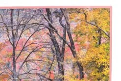 Large Framed Photograph Or Poster Of Autumn Foliage -OGT Sale Store posters q279022