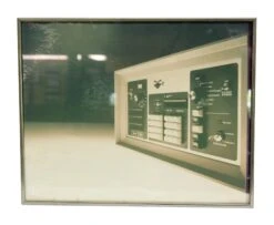 Vintage Summit Dama Framed Print