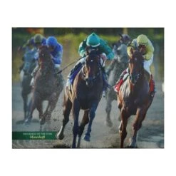 Belmont Park 2003 Horse Of The Year Mineshaft Vinyl Print