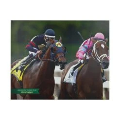 Belmont Park 2004 Horse Of The Year Ghostzapper Vinyl Print