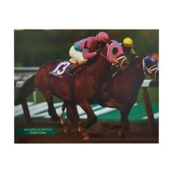 Belmont Park 2005 Horse Of The Year Saint Liam Vinyl Print