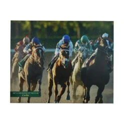 Belmont Park 2007 & 2008 Horse Of The Year Curlin Vinyl Print