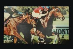 Belmont Park Horse Racetrack Vinyl Print