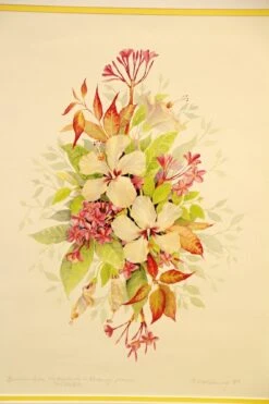 Pair Of Gold Framed Floral Prints 19 Pair Of Gold Framed Floral Prints -OGT Sale Store prints for sale m223109