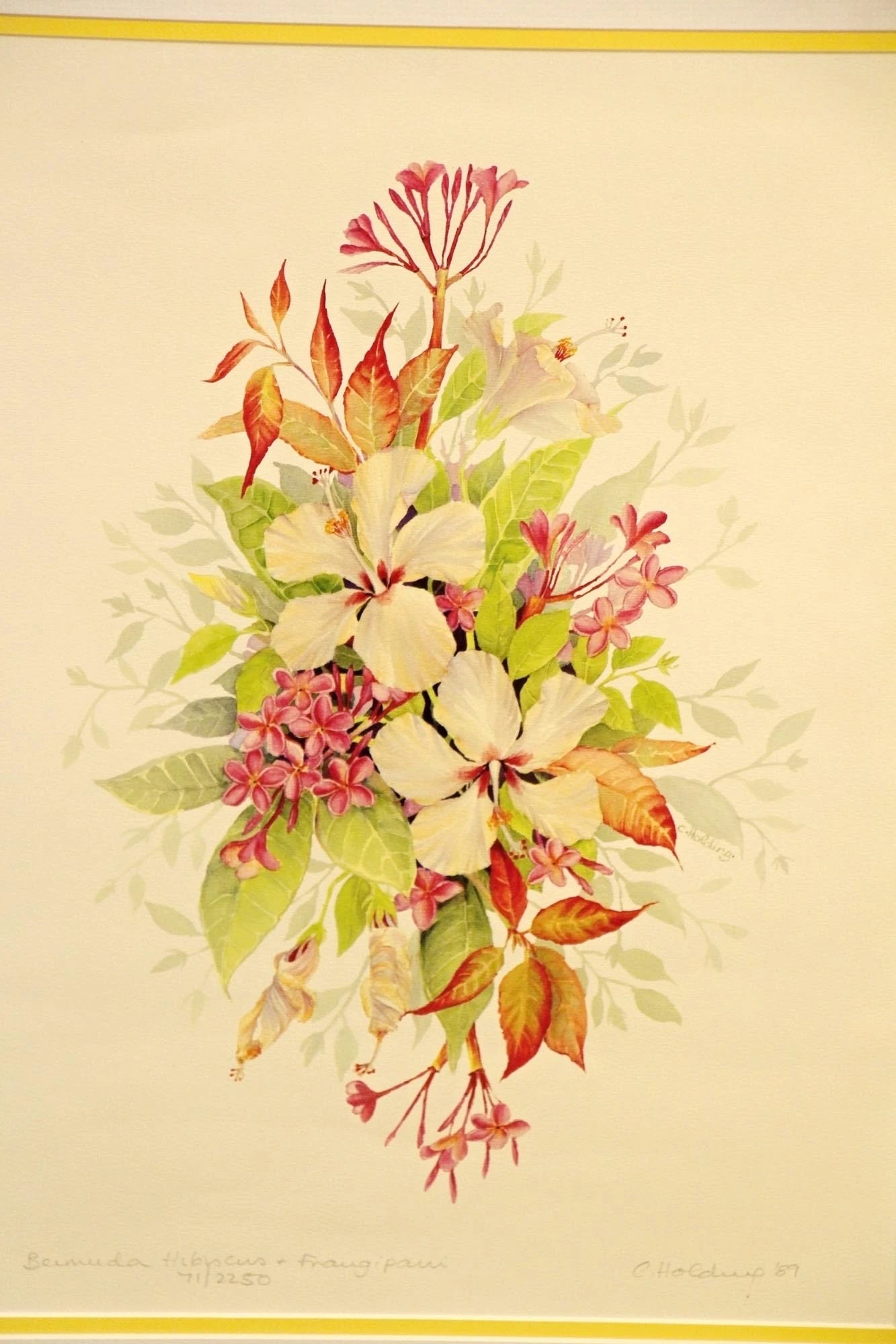 Pair Of Gold Framed Floral Prints 5 Pair Of Gold Framed Floral Prints - Image 3