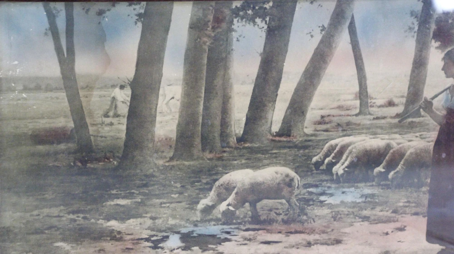 Vintage Sheep Herding Wood Framed Print 5 Vintage Sheep Herding Wood Framed Print - Image 3