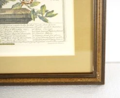 Wooden Framed Print Of August Flowers 13 Wooden Framed Print Of August Flowers -OGT Sale Store prints for sale q279852