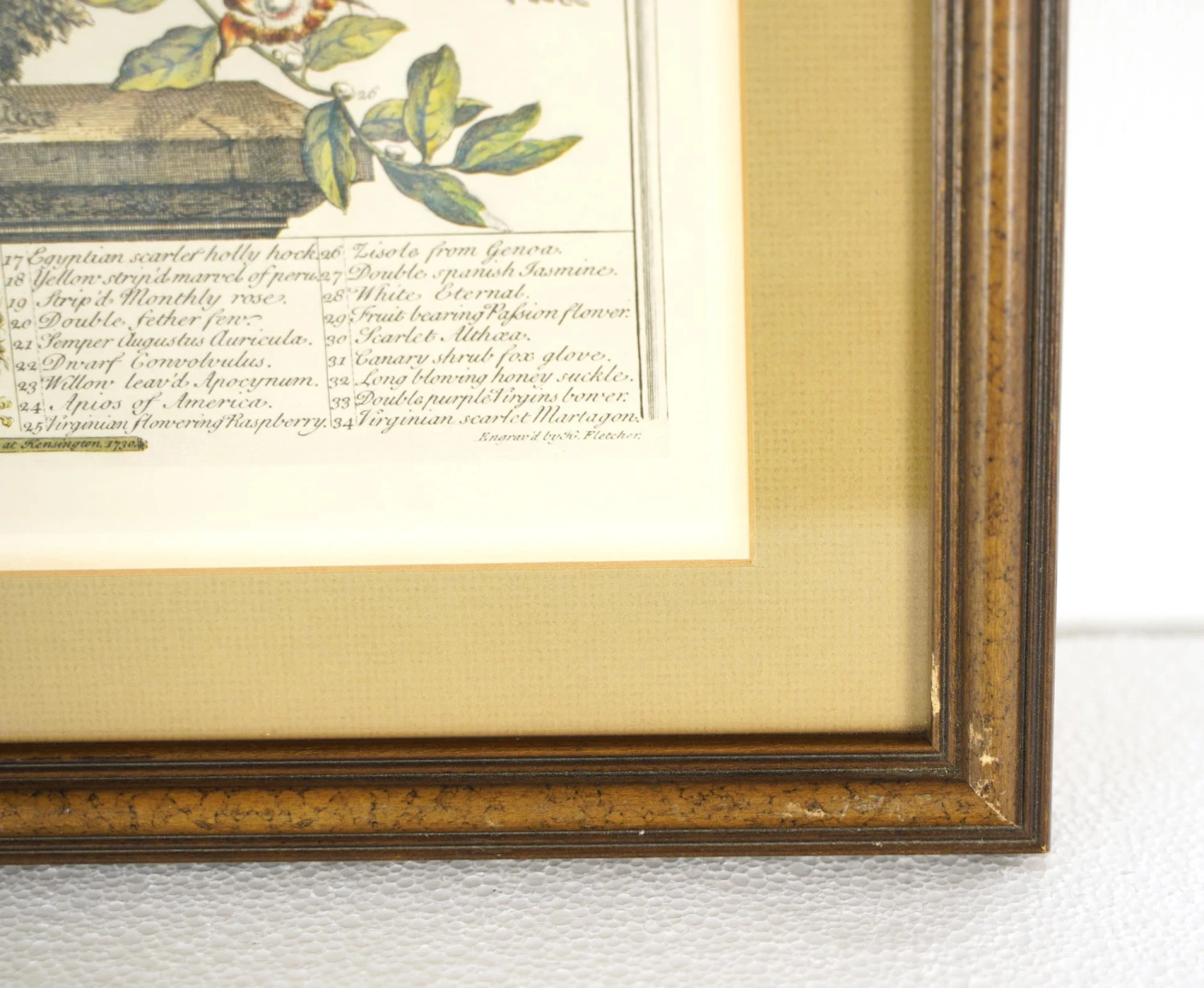 Wooden Framed Print Of August Flowers 5 Wooden Framed Print Of August Flowers - Image 3