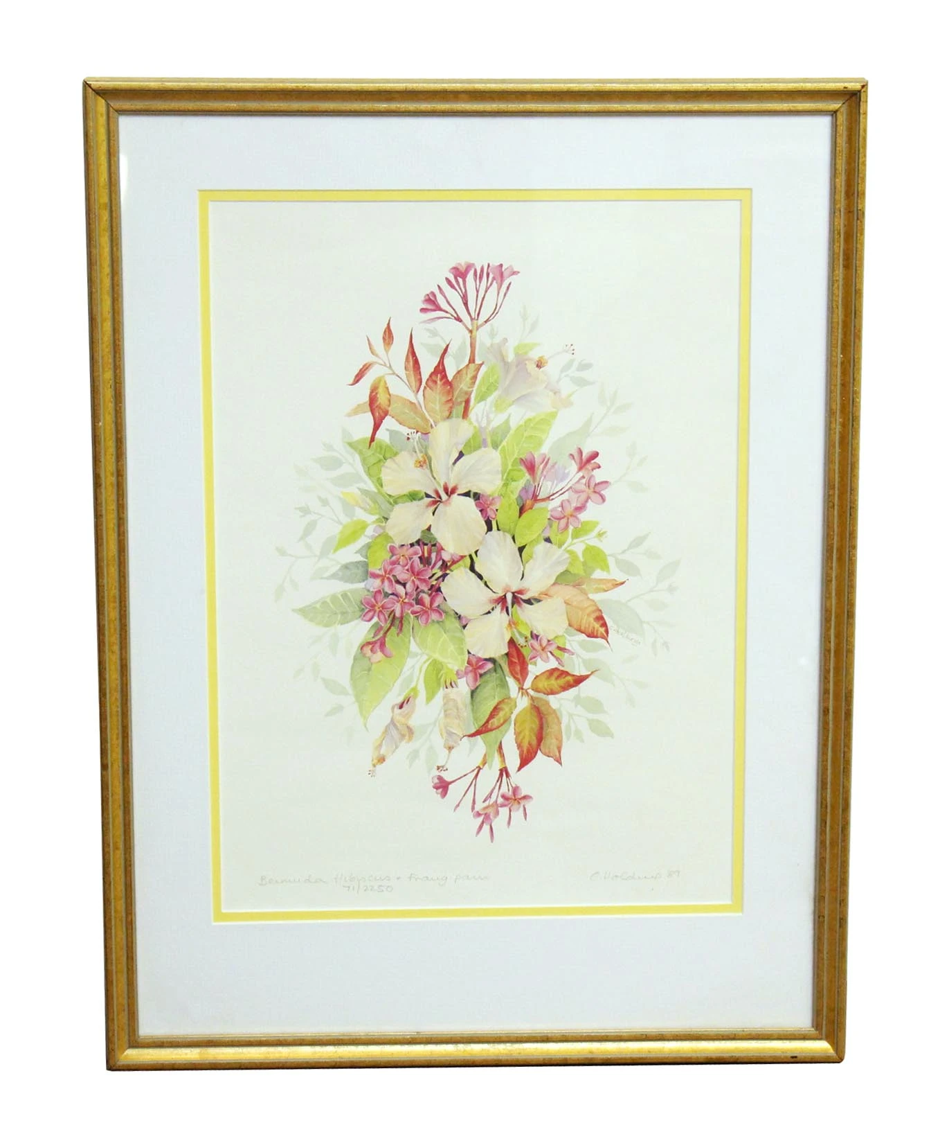 Pair Of Gold Framed Floral Prints 4 Pair Of Gold Framed Floral Prints - Image 2