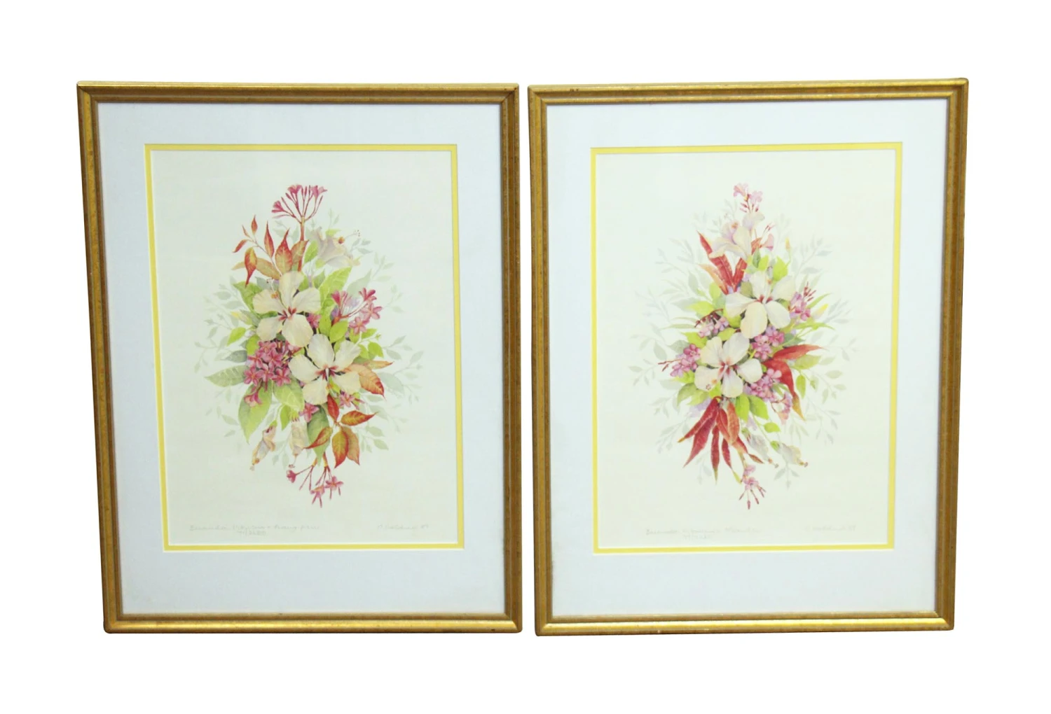 Pair Of Gold Framed Floral Prints 3 Pair Of Gold Framed Floral Prints