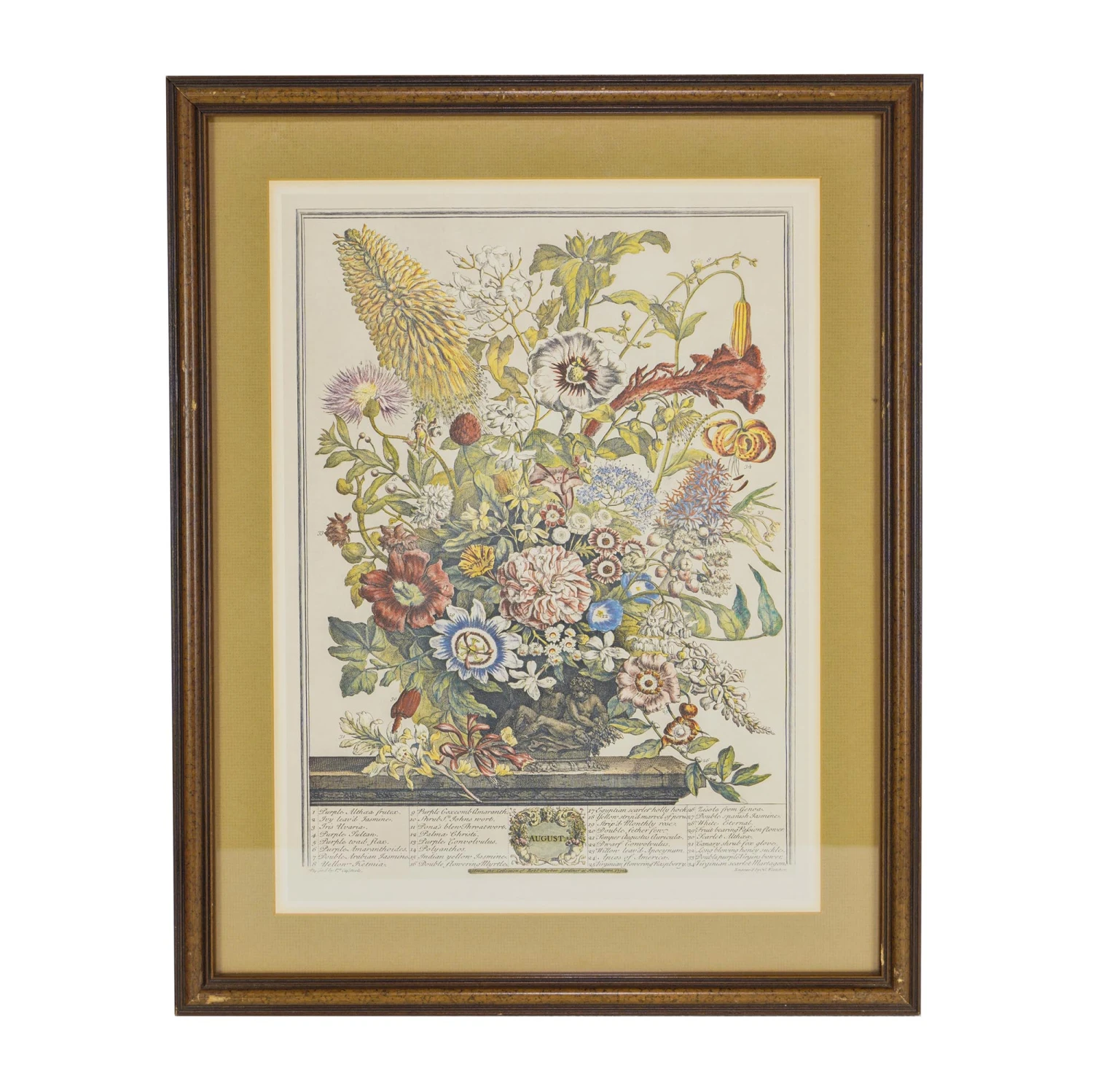 Wooden Framed Print Of August Flowers 3 Wooden Framed Print Of August Flowers