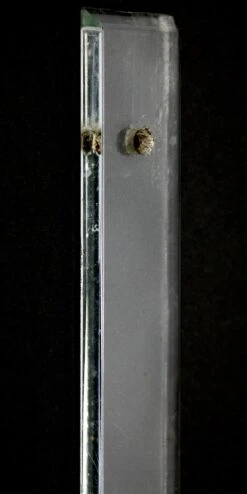 Imported Narrow Clear Glass 19.75 Door Push Plate 7 Imported Narrow Clear Glass 19.75 Door Push Plate -OGT Sale Store push plates for sale 14bel16053