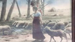 Vintage Sheep Herding Wood Framed Print 10 Vintage Sheep Herding Wood Framed Print -OGT Sale Store q274006 04