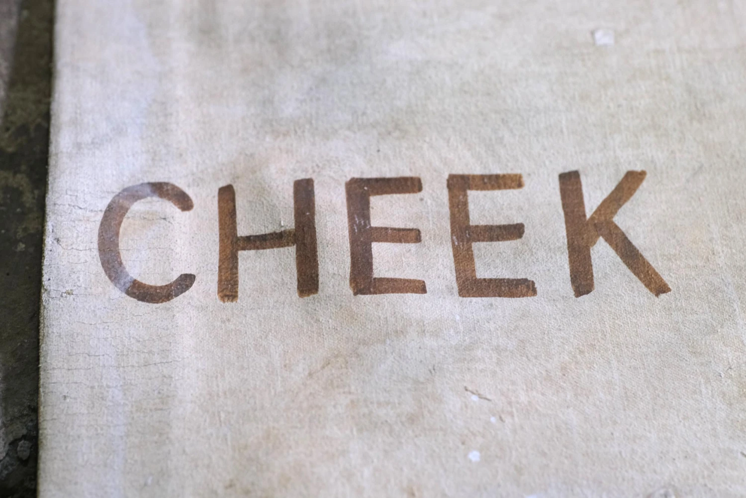 Unfinished Canvas Printing Press Oil Painting 29 Ft. X 8 Ft. 15 Unfinished Canvas Printing Press Oil Painting 29 Ft. X 8 Ft. - Image 13