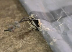 Unfinished Oil Pigment Canvas Painting 29 Ft. X 8 Ft. 16 Unfinished Oil Pigment Canvas Painting 29 Ft. X 8 Ft. -OGT Sale Store q274371 06