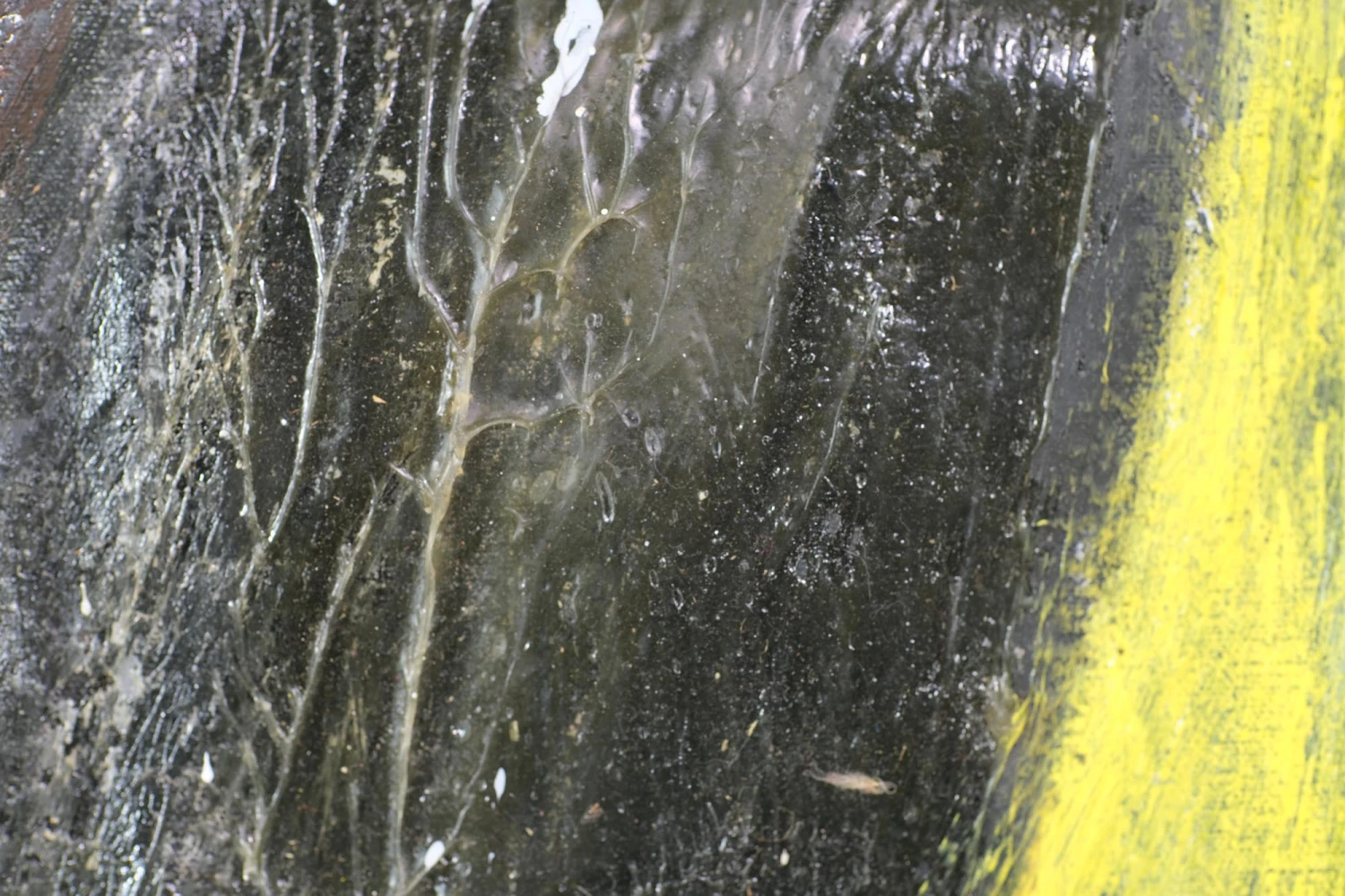 Large Original Oil & Acrylic Abstract Canvas Painting 8 Large Original Oil & Acrylic Abstract Canvas Painting - Image 6