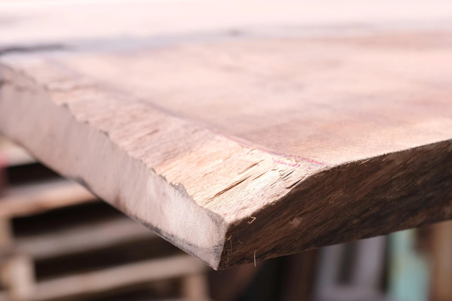 14 Ft. Industrial Cast Iron Base Unfinished Live Edge Walnut Slab Table 11 14 Ft. Industrial Cast Iron Base Unfinished Live Edge Walnut Slab Table - Image 9