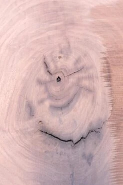 14 Ft. Industrial Cast Iron Base Unfinished Live Edge Walnut Slab Table 28 14 Ft. Industrial Cast Iron Base Unfinished Live Edge Walnut Slab Table -OGT Sale Store q277186 11