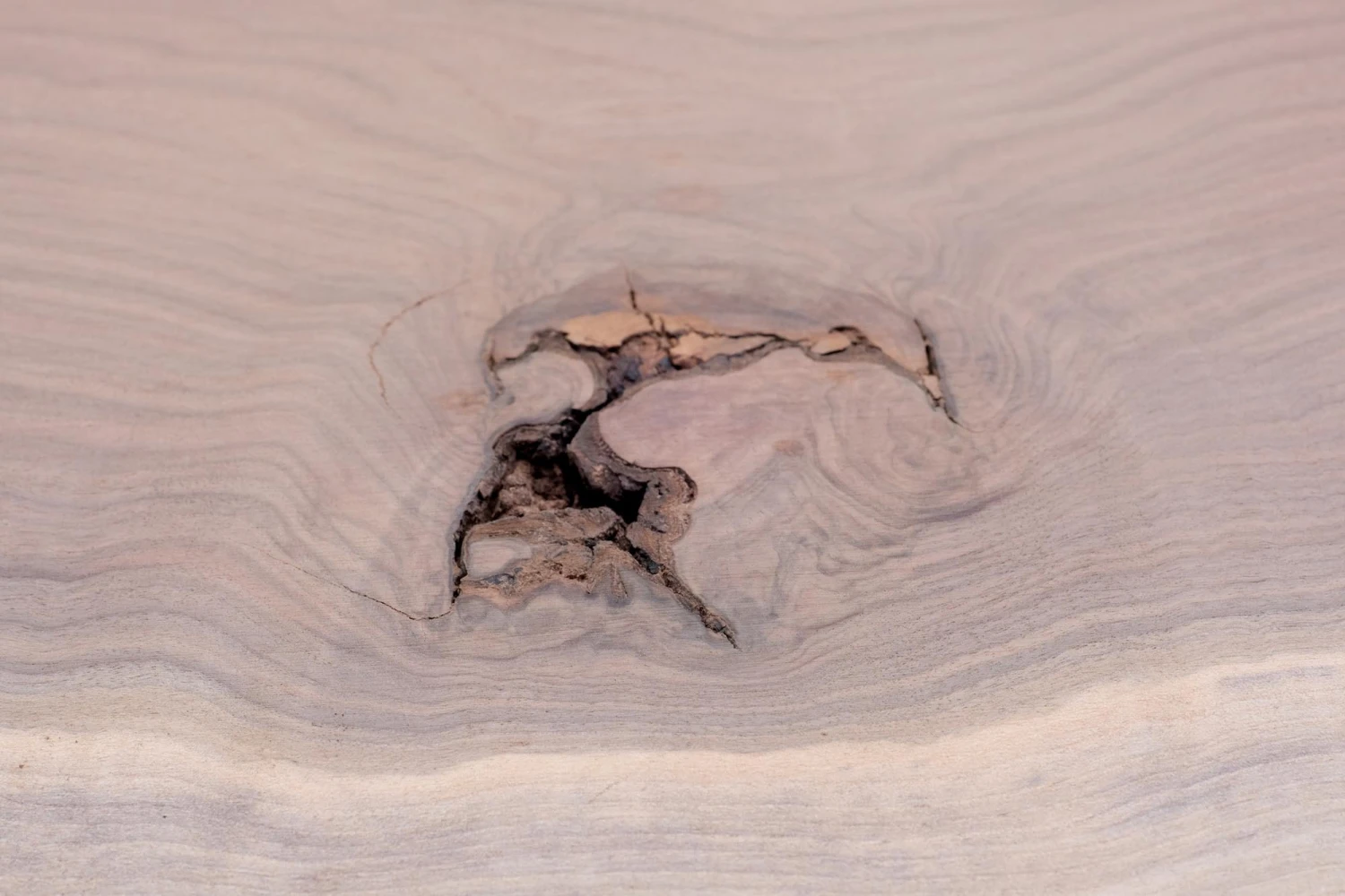 14.5 Ft. Industrial Cast Iron Base Unfinished Live Edge Walnut Slab Table 16 14.5 Ft. Industrial Cast Iron Base Unfinished Live Edge Walnut Slab Table - Image 14