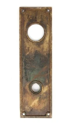 Antique 7.875 In. Polished Bronze Entry Door Back Plate -OGT Sale Store q278447 04