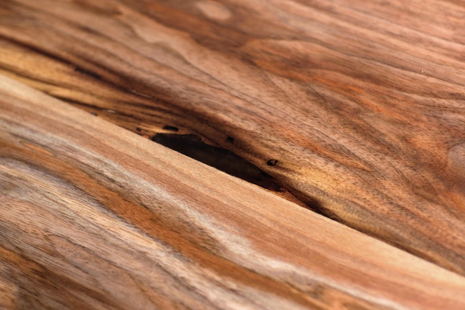 Handcrafted 7 Ft. Live Edge Walnut River New York Legs Dining Table 7 Handcrafted 7 Ft. Live Edge Walnut River New York Legs Dining Table - Image 5