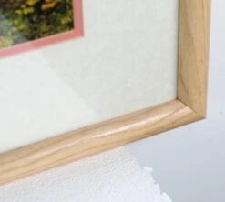 Large Framed Photograph Or Poster Of Autumn Foliage -OGT Sale Store q279022 05