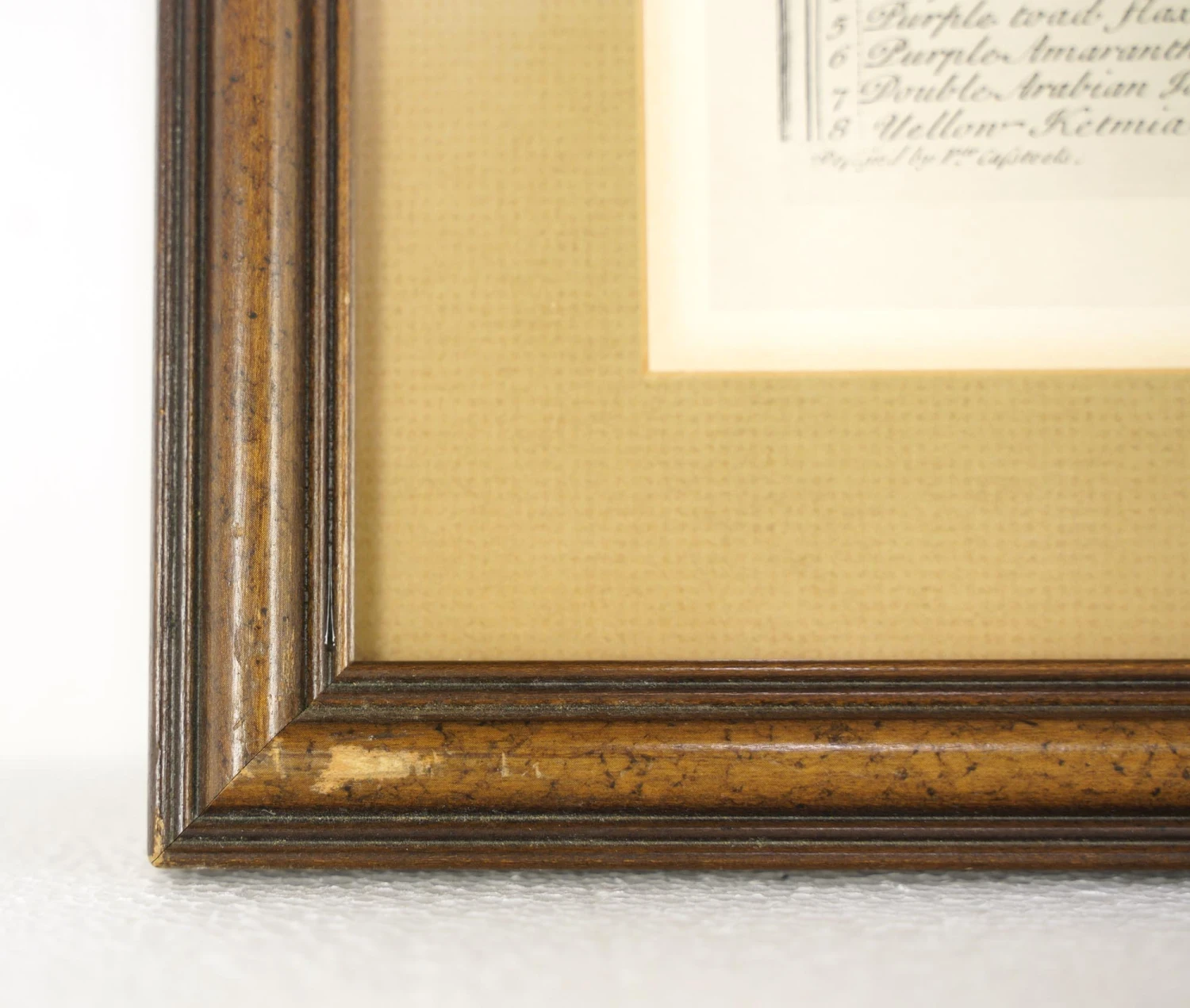 Wooden Framed Print Of August Flowers 6 Wooden Framed Print Of August Flowers - Image 4