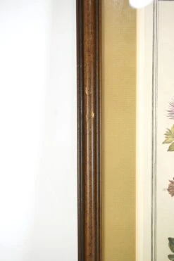 Wooden Framed Print Of August Flowers 15 Wooden Framed Print Of August Flowers -OGT Sale Store q279852 05