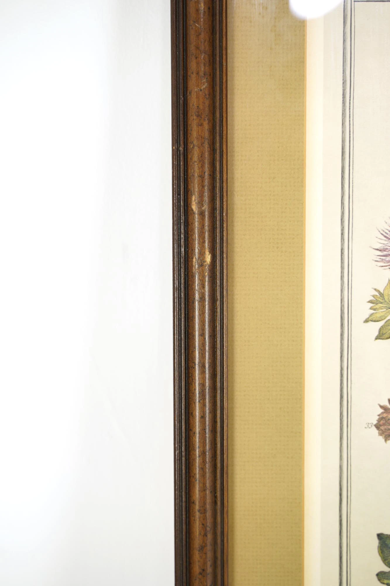 Wooden Framed Print Of August Flowers 7 Wooden Framed Print Of August Flowers - Image 5