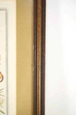 Wooden Framed Print Of August Flowers 16 Wooden Framed Print Of August Flowers -OGT Sale Store q279852 06