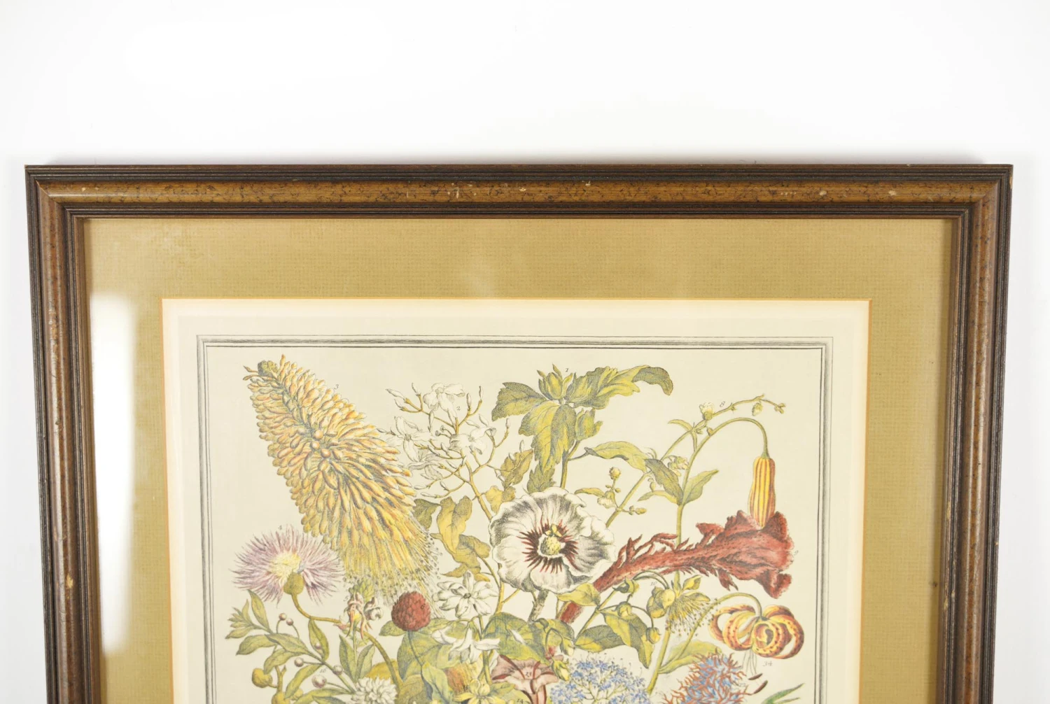 Wooden Framed Print Of August Flowers 9 Wooden Framed Print Of August Flowers - Image 7