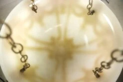 Victorian Figural Dish Glass Brass Chain Pendant Light 18 Victorian Figural Dish Glass Brass Chain Pendant Light -OGT Sale Store q280034 07