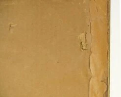 Anna Sophie Gasteiger Signed Floral Still Life Print 25 Anna Sophie Gasteiger Signed Floral Still Life Print -OGT Sale Store q280289 12