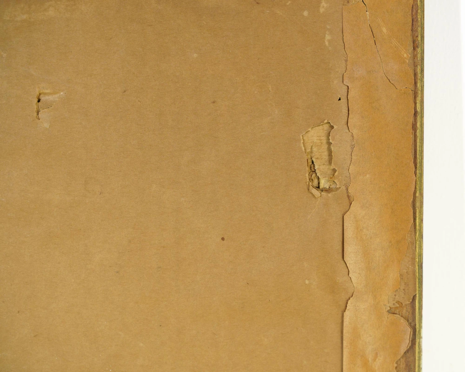 Anna Sophie Gasteiger Signed Floral Still Life Print 14 Anna Sophie Gasteiger Signed Floral Still Life Print - Image 12