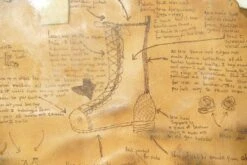 Framed Piece Of Leather From Boot Making Process 17 Framed Piece Of Leather From Boot Making Process -OGT Sale Store q280291 04