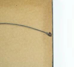 Richard Felden 1982 “Day Of The Hunt Fox Valley Hunt Club” Framed Print -OGT Sale Store q281904 08