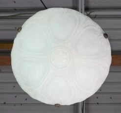 Antique Victorian White Glass Dish Brass Pendant Light 23 Antique Victorian White Glass Dish Brass Pendant Light -OGT Sale Store q282698 11