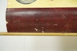 Vintage Cram’s Physical Political Roll Up School Map Of South America -OGT Sale Store q283325 09