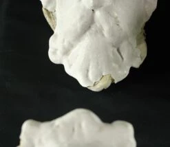 Set Of White Cast Plaster Bearded God Architectural Heads -OGT Sale Store q283408 12